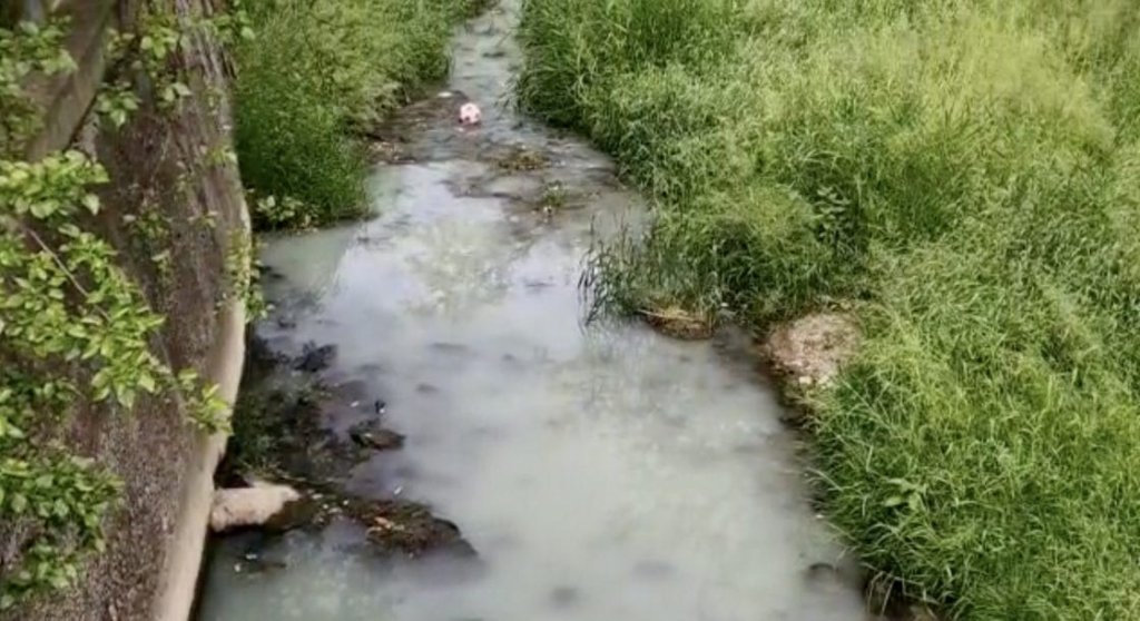 Poluare pe un afluent al Someșului. Apa are un aspect albicios