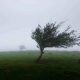 Alertă de vreme rea la Cluj: Cod portocaliu pentru averse și intensificări ale vântului