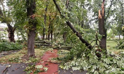 (Foto/Video) Imaginile dezastrului în Oradea. Furtuna a făcut prăpăd în oraș. Viteza maximă a vântului în Oradea: 144 km/h