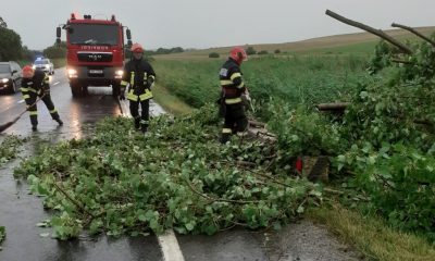 Furtuna a lovit Clujul! Acoperișuri smulse de vânt și copaci căzuți pe șosele