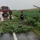 Furtuna a lovit Clujul! Acoperișuri smulse de vânt și copaci căzuți pe șosele