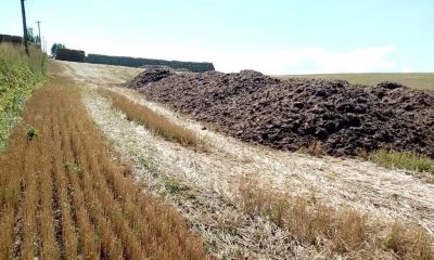 Alin Tişe: "Stopați aruncatul de găinaț / fecale / mortăciuni pe terenurile agricole" / Clujenii: "VĂ RUGĂM MULT FACEȚI CEVA!!"