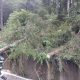 Arbori căzuți în zona de munte a Clujului! Au fost porțiuni de drum blocate - FOTO