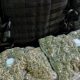 Droguri la pachet, prin firme de curierat/Foto: Poliția Română
