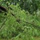 Copaci căzuți pe drum în județul Cluj din cauza furtunii. ISU: „S-au raportat porțiuni de drum blocate”