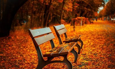 Vremea va rămâne mai caldă până la finalul lunii septembrie, faţă de perioada din calendar, însă din 1 octombrie în majoritatea regiunilor, valorile termice vor scădea/ Foto: pixabay.com