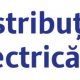 DISTRIBUȚIE ENERGIE ELECTRICĂ ROMANIA S.A. Sucursala Cluj-Napoca – Anunț de licitație