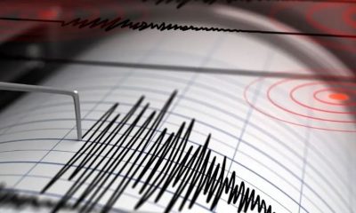 Două noi cutremure în România. Primul în vestul țării, al doilea în est