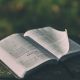 Biblie deschisă pentru credincioși. Foto: Pixabay