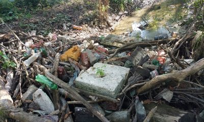 E dezastru la Becaș, afluent al Someșului! Clujenii, îndemnați să meargă la curățenie: „Facem și tur ghidat cu ocazia asta”
