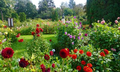 Intrare gratuită pentru seniori la Grădina Botanică din Cluj-Napoca, pe 1 octombrie