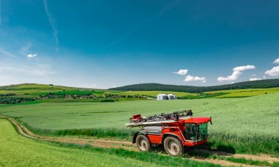 Patronul fermei de pui din Aiton către Alin Tișe, despre putoarea din Cluj: ”Mirosul neplăcut din Cluj a apărut înainte ca noi să începem fertilizarea”
