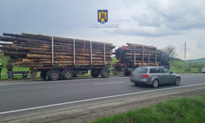 Plâng hoții de lemne din Cluj! Cât lemn furat a fost depistat în trecere prin Huedin în primele nouă luni ale anului - FOTO