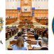 TurdaNews - Asociația READC Turda, spre atenția Camerei Deputaților: Proiectul ce vizează modificarea Legii pentru organizarea și exercitarea profesiuni de medic veterinar
