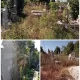 TurdaNews - Cimitire năpădite de buruieni și la Câmpia Turzii