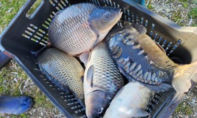 TurdaNews - Concurs de pescuit la complexul de agrement „La trei lacuri”