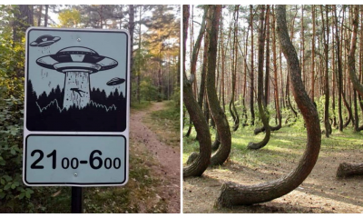Un clujean a relatat trăirea paranormală, din pădurea Hoia - Baciu: ”Nu mă mai puteam orienta! Spuneam rugăciuni să ies de acolo”