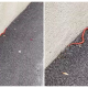 Un șarpe a fost filmat de un clujean pe stradă. Oare ce specie e? - VIDEO