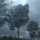 Avertizare meteo: Cod galben de vânt puternic și ploi în județul Cluj - FOTO