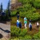 Cluj: Muntele Basmelor îi așteaptă cu un program special pe copii. Locul magic cu Balauri, Dragoni, Dinozauri, Giganți, Unicorni și Prințese