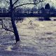 Cod galben de inundații pe râurile din Cluj/Foto: INHGA