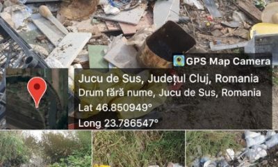 Deșeuri abandonate în spații verzi în județul Cluj / Foto: OPMCB - Facebook