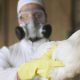 Focar de GRIPĂ AVIARĂ în România! Europa, afectată de un nou val de virus H5N1