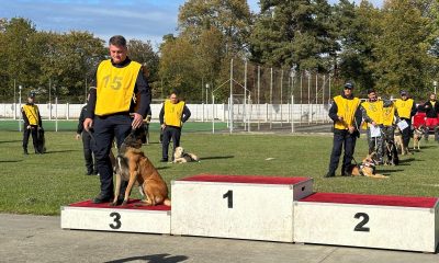 Miro, câinele Jandarmeriei Cluj, s-a întors acasă cu medalia de bronz de la Campionatul de Dresaj organizat de MAI. Patrupedul detectează explozivi
