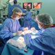Transplanturi renale realizate cu succes de medicii clujeni/Foto: ICUTR Cluj
