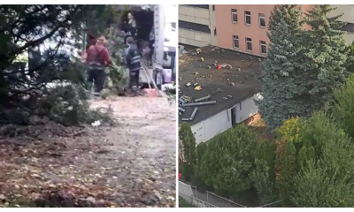 Se taie copacii de 25 de ani de la Minerva Mănăștur! Primăria Cluj-Napoca are o plăcere din a tăia arborii - VIDEO