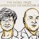 Premiul Nobel pentru Medicină 2023 - Katalin Kariko și Drew Weissman/Foto: Nobel Prize Facebook.com