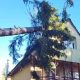 Vântul puternic a face pagube la Cluj: Un stâlp de electricitate și un copac, prăbușiți pe două case