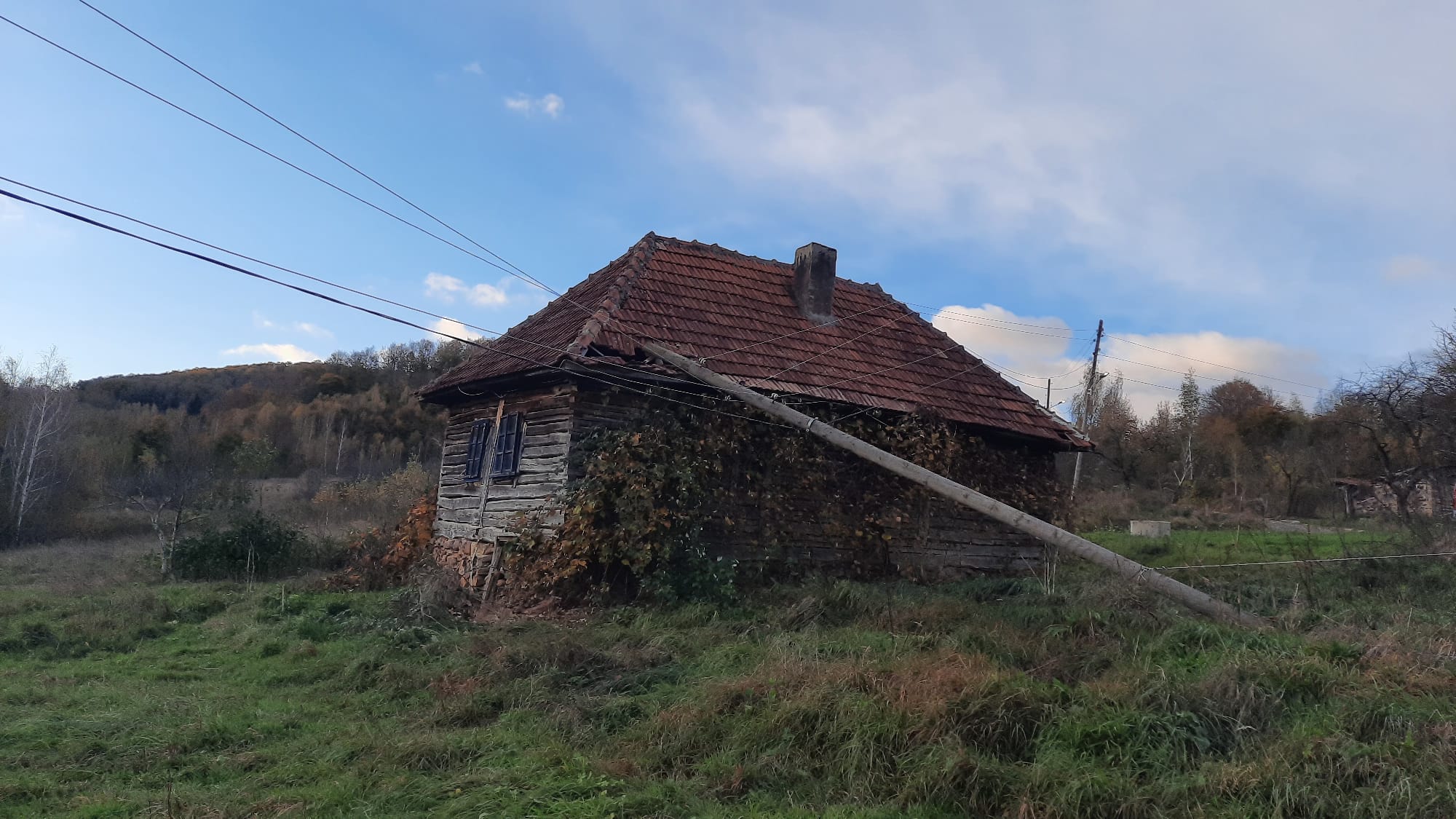 Vântul puternic a făcut ravagii în Cluj! Un copac și un stâlp au căzut peste două locuințe - VIDEO
