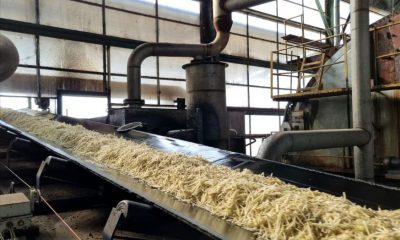 Etapa de procesare, fabrica de zahăr din Luduș/Foto: Ministerul Agriculturii și Dezvoltării Rurale Facebook.com