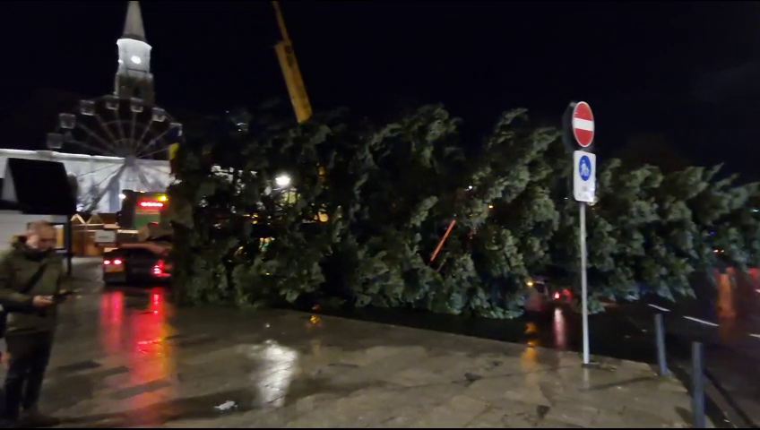 Bradul de Crăciun a ajuns în Piața Unirii, din Cluj-Napoca - VIDEO