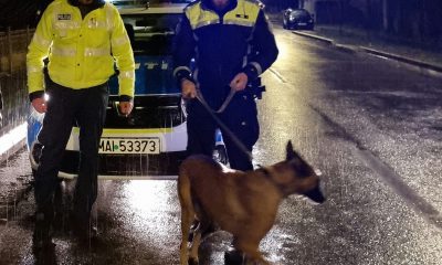 Cluj - Poveste care arată că oamenii sunt superbi! Un polițist a dus acasă câinele găsit pe câmp. Merită zece rânduri de aplauze - FOTO