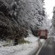 Iarna și-a intrat în drepturi la Cluj! Pompierii au intervenit pentru a înlătura arborii căzuți pe drumuri - FOTO