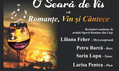 O Seară de Vis la Berăria Culturală cu Romanțe, Vin și Cântece Românești