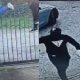 Patru hoți români au terorizat mai multe orașe din Italia! Polițiștii locali i-au numit ,,Banda Mercedesului Alb” - VIDEO