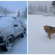 Patru turiști din Cluj, blocaţi în staţiunea Padiş după ce a nins toată noaptea