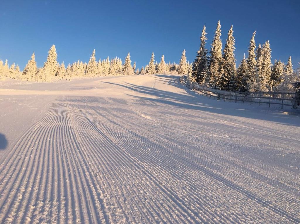 Vești minunate pentru iubitorii sporturilor de iarnă. S-a deschis sezonul de ski la Cluj