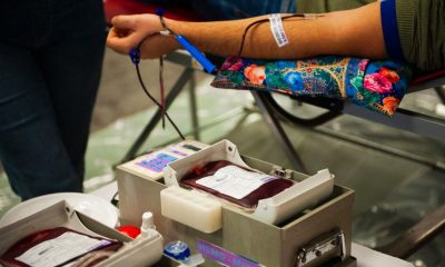 Bani mai mulți pentru cei care donează sânge! Valoarea tichetelor oferite, de patru ori mai mare din ianuarie