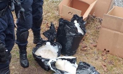 Un cetățean străin a fost prins în flagrant delict cu aproximativ 50 kg de substanțe psihoactive/Foto: IPJ Cluj