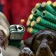 Câinii sunt afectați grav de petarde de Crăciun și Revelion / Foto: Asociația Sirius Animal Rescue