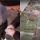 Dealueri care „băgau” droguri în cluburi, școli și cămine studențești, prinși de polițiști / Sursă: captură video - Poliția Română
