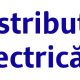 Distribuție Energie Electrică Romania anunță lucrări de actualizare a sistemelor SAP și implementarea unui sistem informatic consolidate (P)