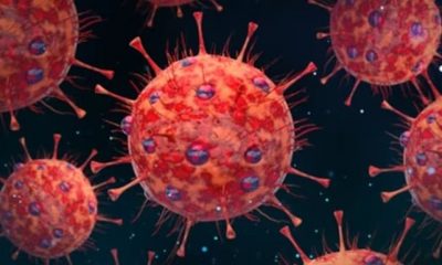 O nouă tulpină de coronavirus stârnește îngrijorări. Ar putea provoca un val de infecții în perioada sărbătorilor