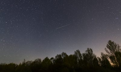 Ploaia de meteori Geminide, cea mai bogată a anului, va ajunge la apogeu în seara de 14 decembrie/ FOTO: Depositphotos.com