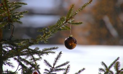 Cum va fi vremea de Crăciun și de Anul Nou? FOTO: Pixabay