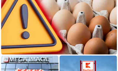 Ouă bio retrase din Kaufland și Mega Image din cauza riscului de Salmonella